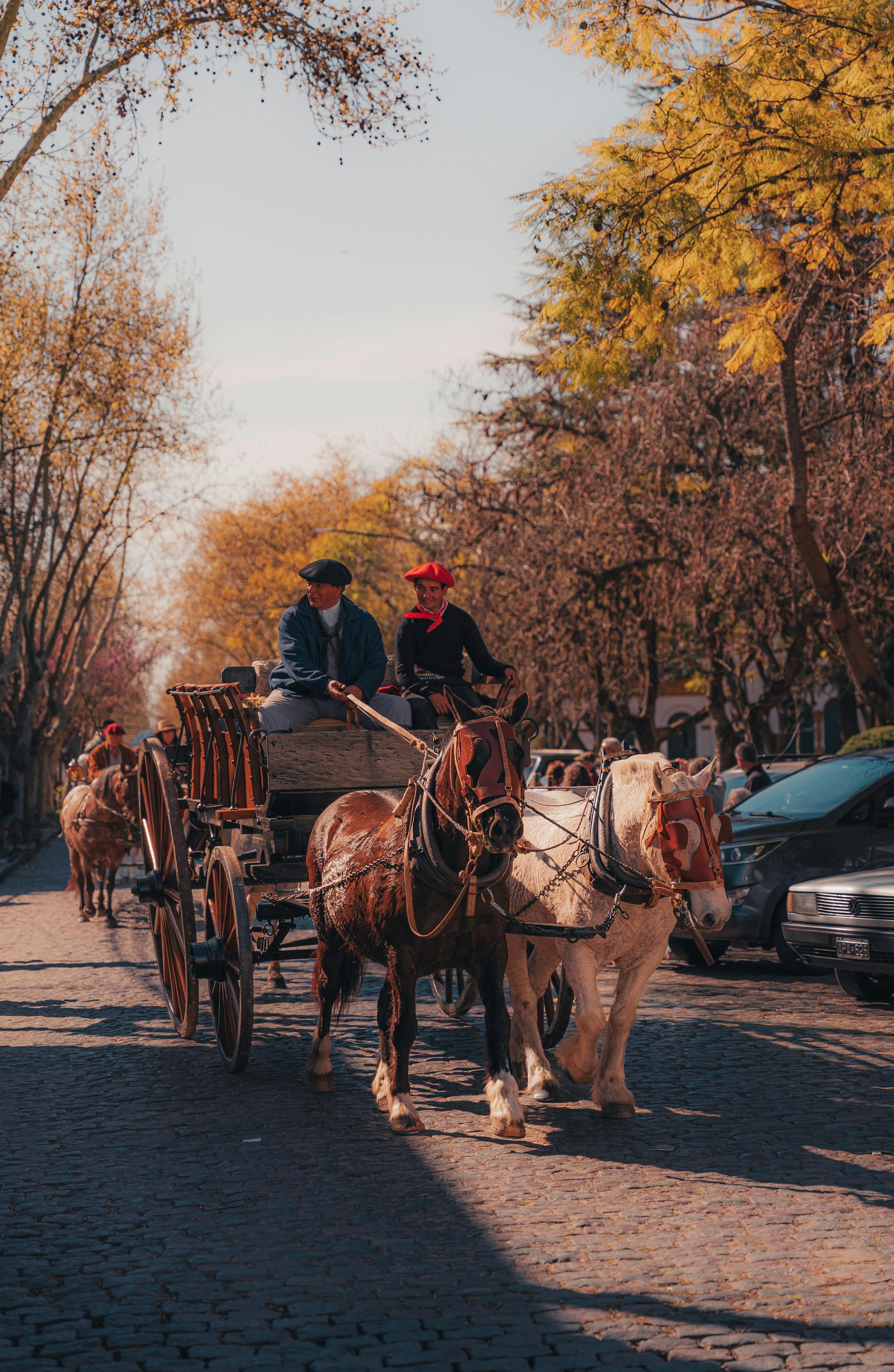 Carriage Ride Route – Paths of Tradition and Craft