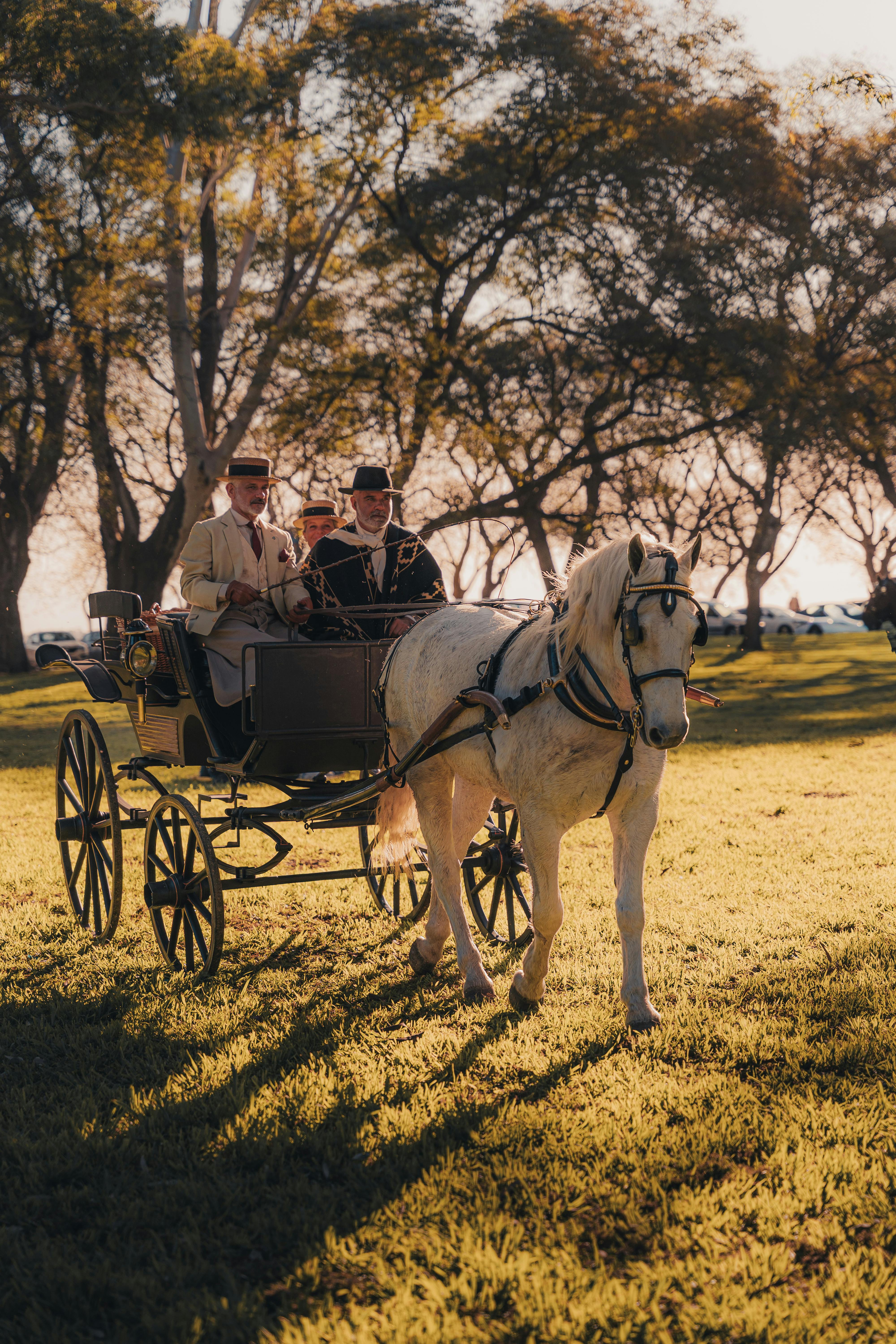 Carriage Ride Route – Paths of Tradition and Craft