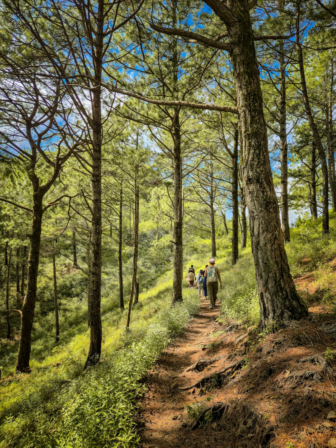 Hiking Route – Paths of Nature and Culture