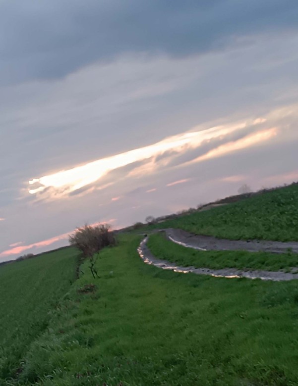 Poljoprivredno gazdinstvo Marlena Dietrich