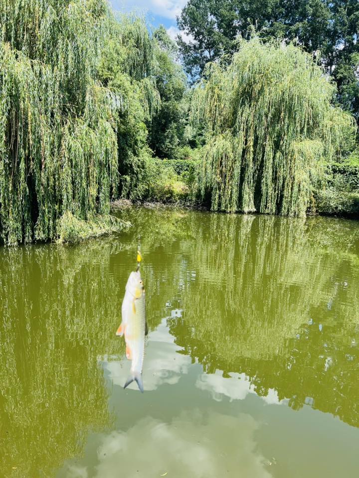 JURESCU IONEL PFA - La Casa Pescarului Jim