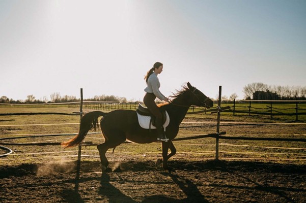 Blondina - poljoprivredno gazdinstvo