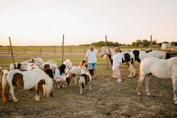 Blondina - poljoprivredno gazdinstvo