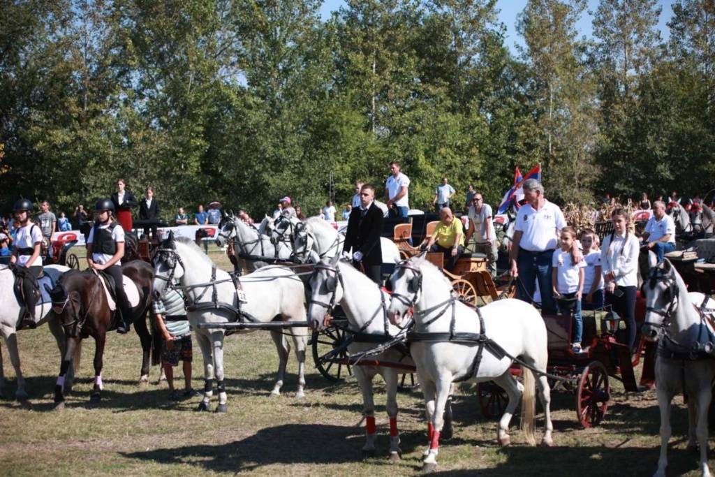 Kikinda Equestrian Association “Banat”