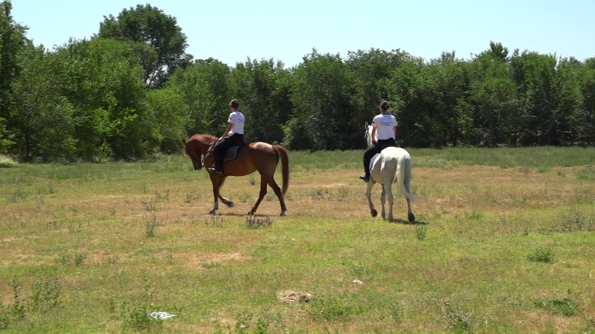 Kikinda Equestrian Association “Banat”