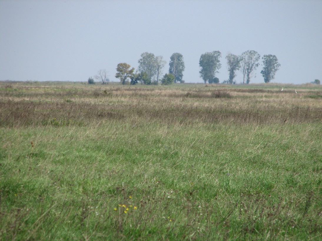 Special Nature Reserve “Pastures of the Great Bustard” – Mokrin