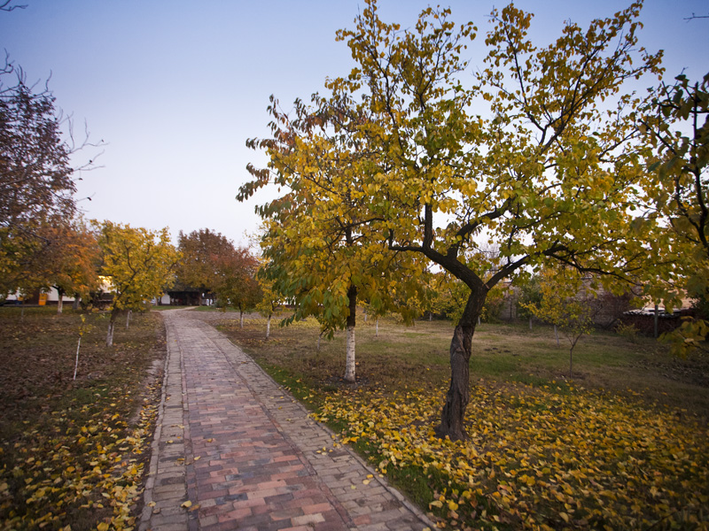 Ethno village – Queen of Fruits