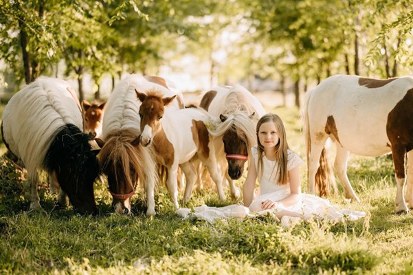 Blondina - poljoprivredno gazdinstvo cover image