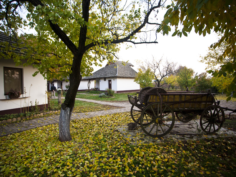 Ethno village – Queen of Fruits cover image