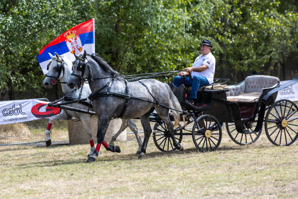 Kikinda Equestrian Association “Banat” cover image
