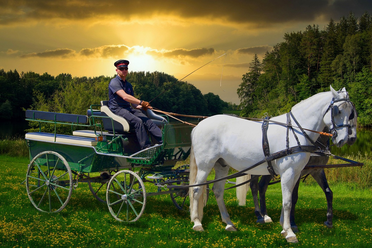 Carriage Ride Route – Paths of Tradition and Craft cover image
